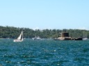 10 Fort Dennison from Botanic Gardens