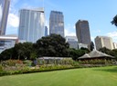 5 Royal Botanic Gardens - Rose Garden