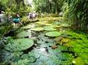 Belém - Emilio Goeldi Zoo & Botanic Park-2