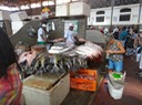 Belém - Ver-o-Peso Market-2