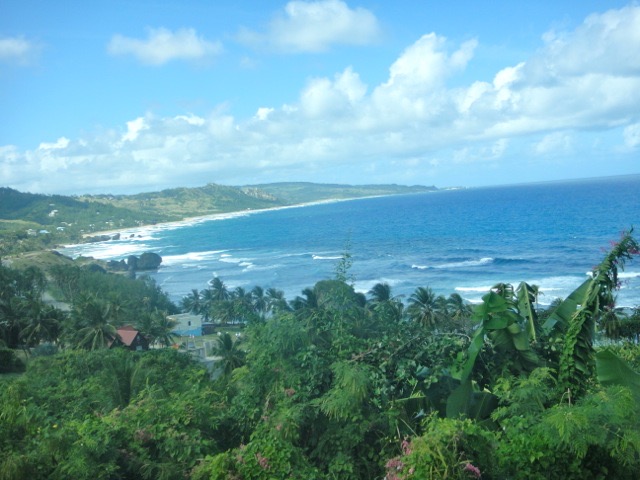 DSC06165